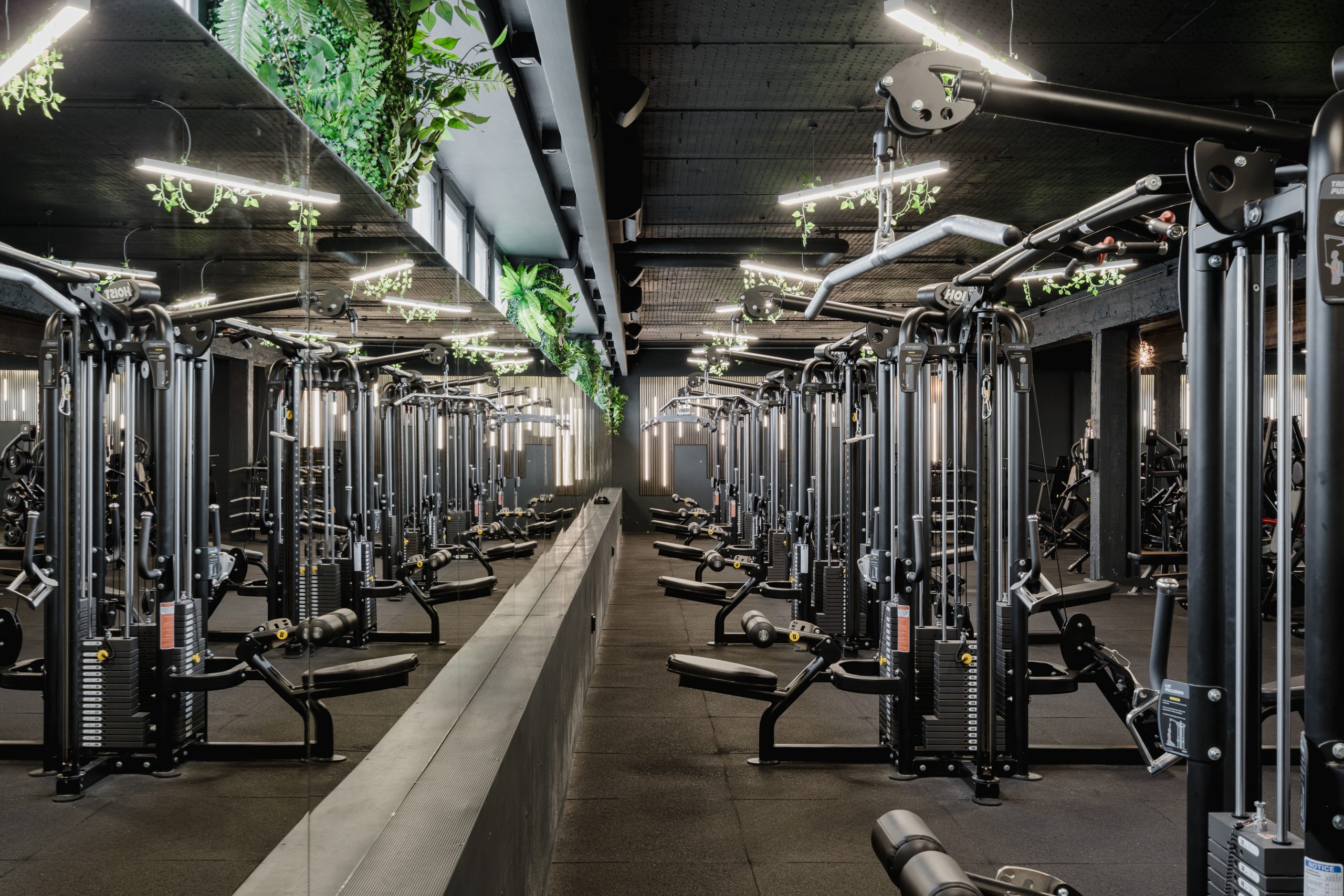 Chili Fitness személyi edzés Budapest