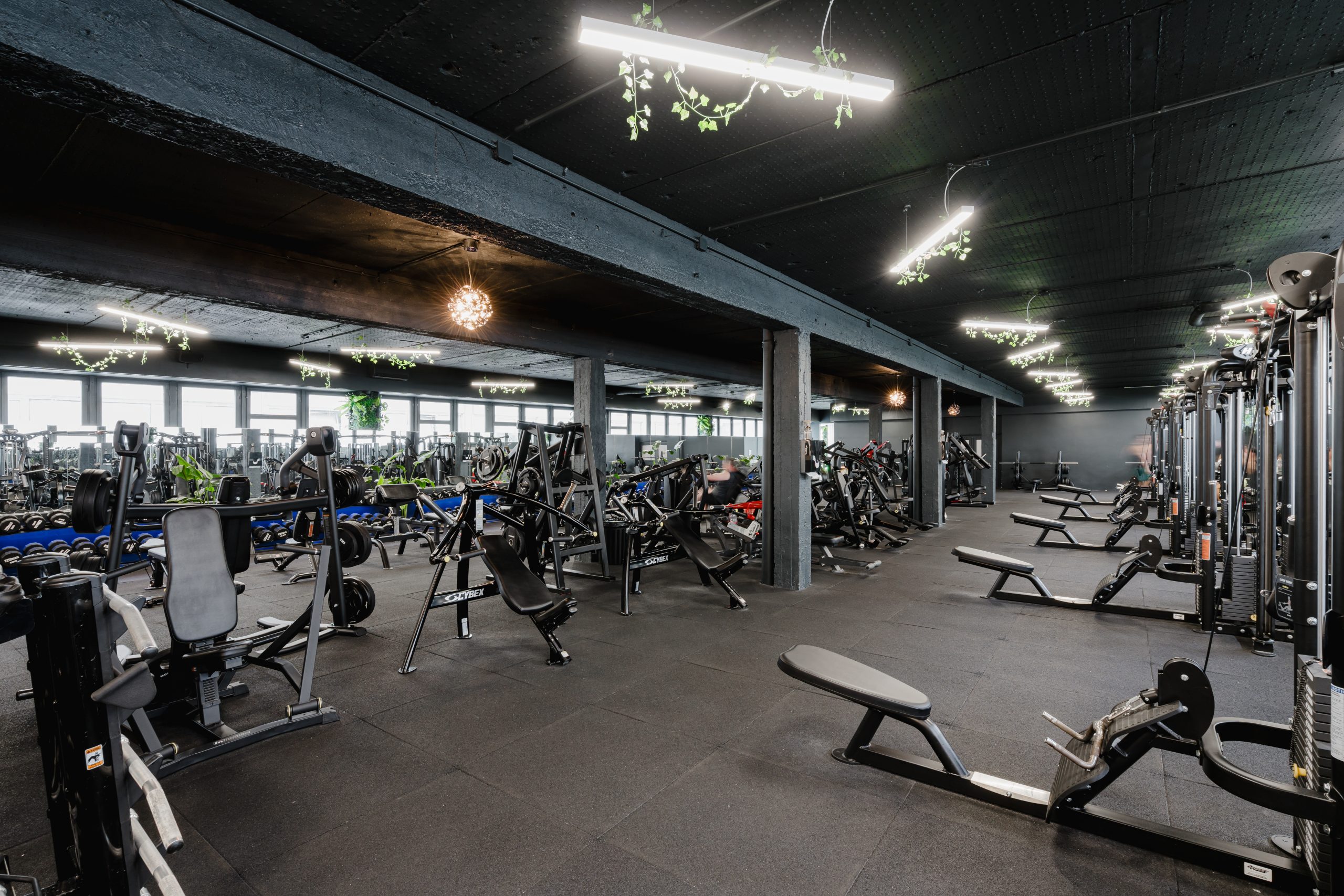 Chili Fitness Bikás park - prémium edzőterem Budapest