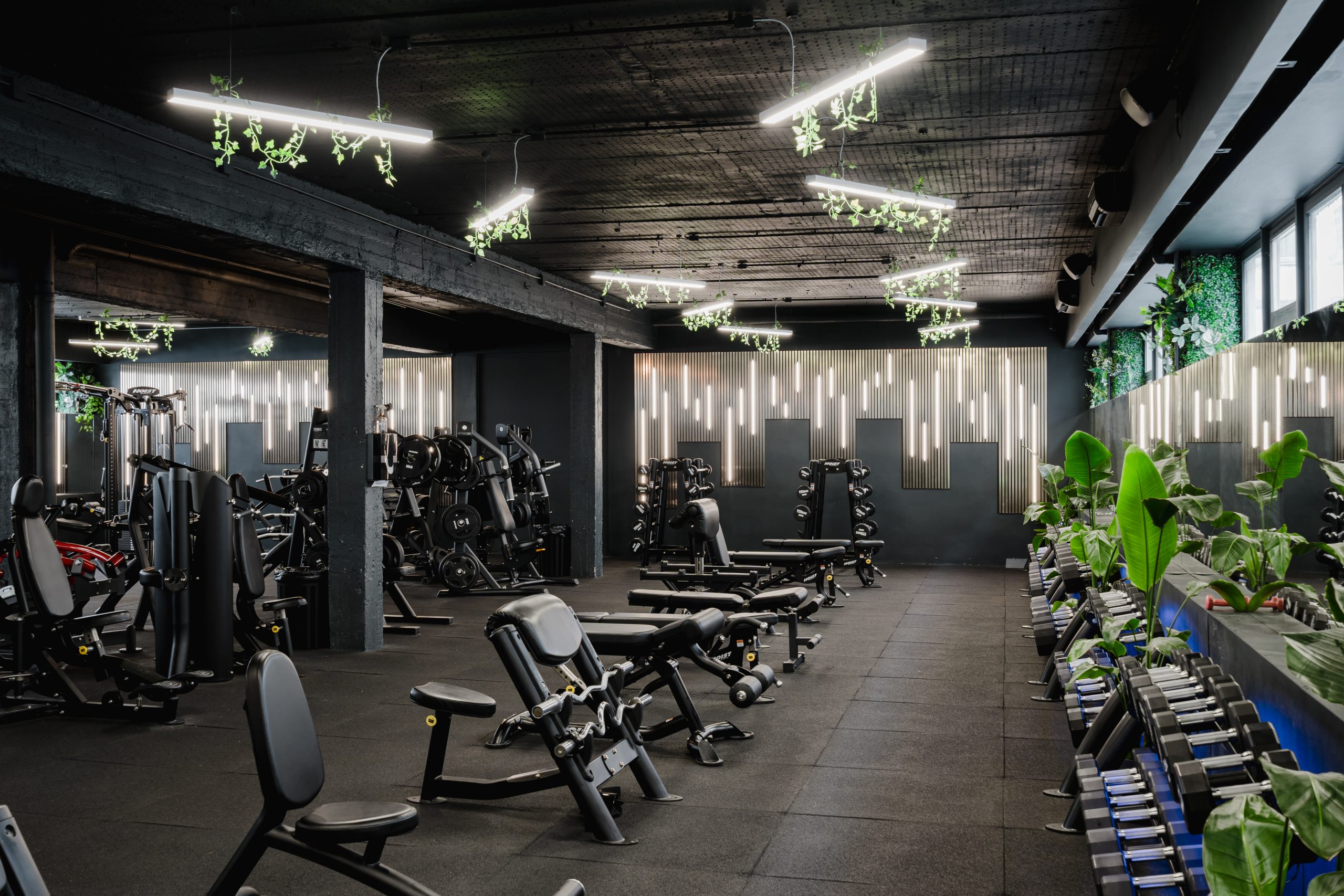 Chili Fitness Bikás park - 0-24 prémium edzőterem Budapest